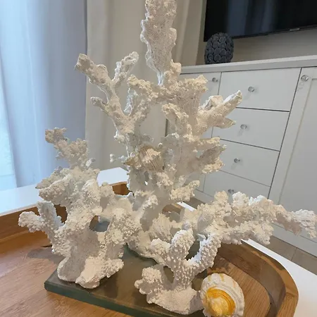 Baltic Nr 5 * Pobierowo