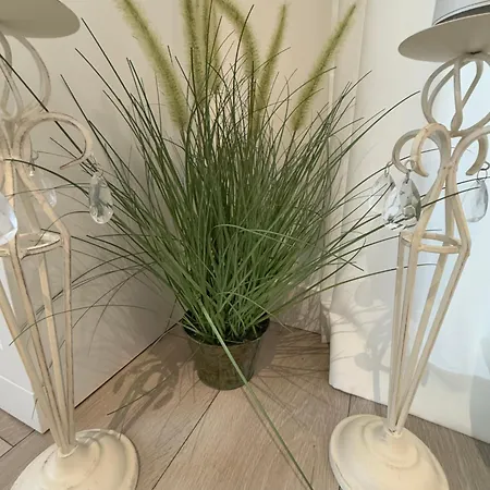 Baltic Nr 5 * Поберово