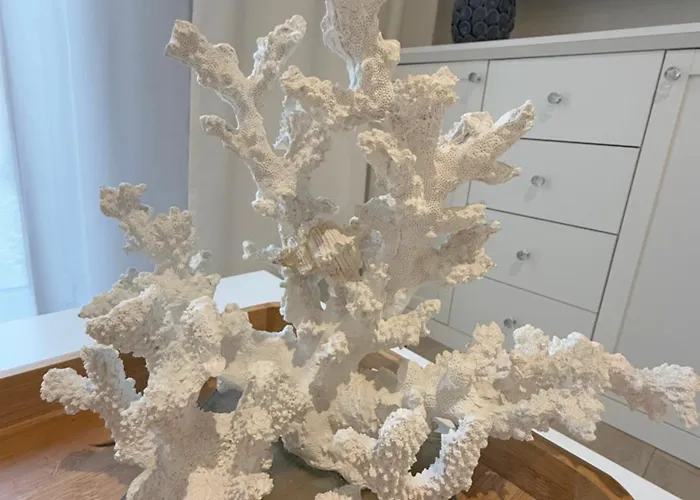 Baltic Nr 5 * Pobierowo