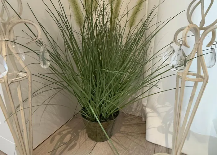 Baltic Nr 5 * Pobierowo